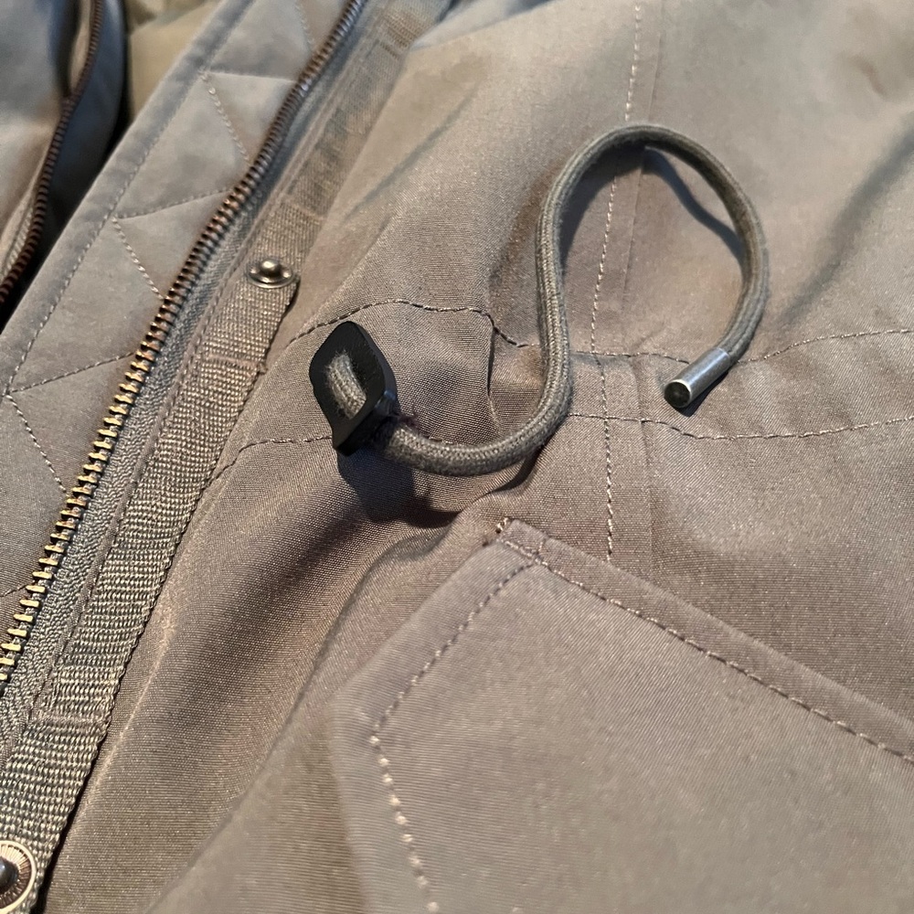 Aritizia Wilfred Northstar Premium Goose Down Parka - Picture 6 of 12